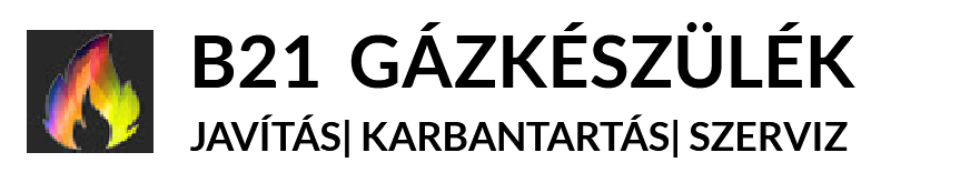 B21 gázszerviz