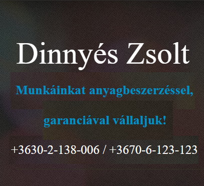 Dinnyés Zsolt gázszerelő