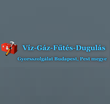 Westen szerviz